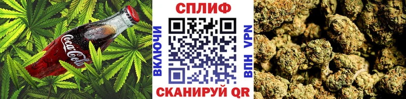 МЕГА ТОР  Чердынь  Cannafood конопля 