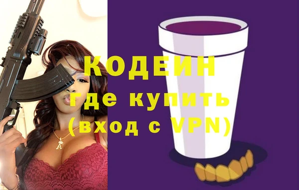 хмурый Новозыбков
