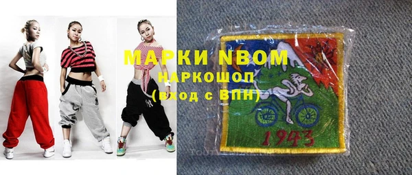 хмурый Новозыбков