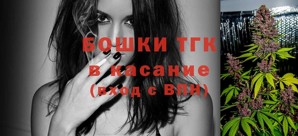 хмурый Новозыбков