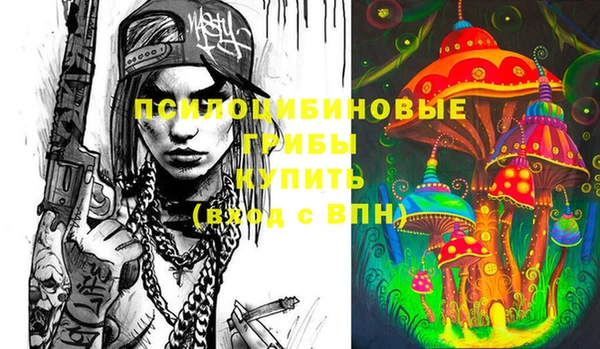 хмурый Новозыбков