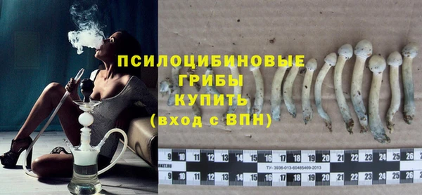 прущие крисы Новокубанск