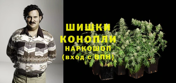 хмурый Новозыбков