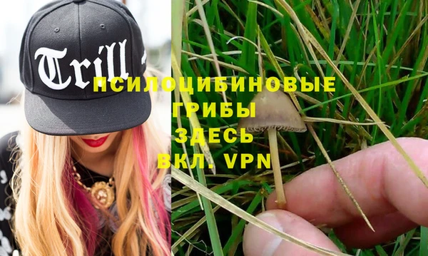 хмурый Новозыбков