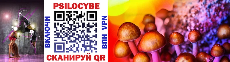 Псилоцибиновые грибы Psilocybe  Чердынь 